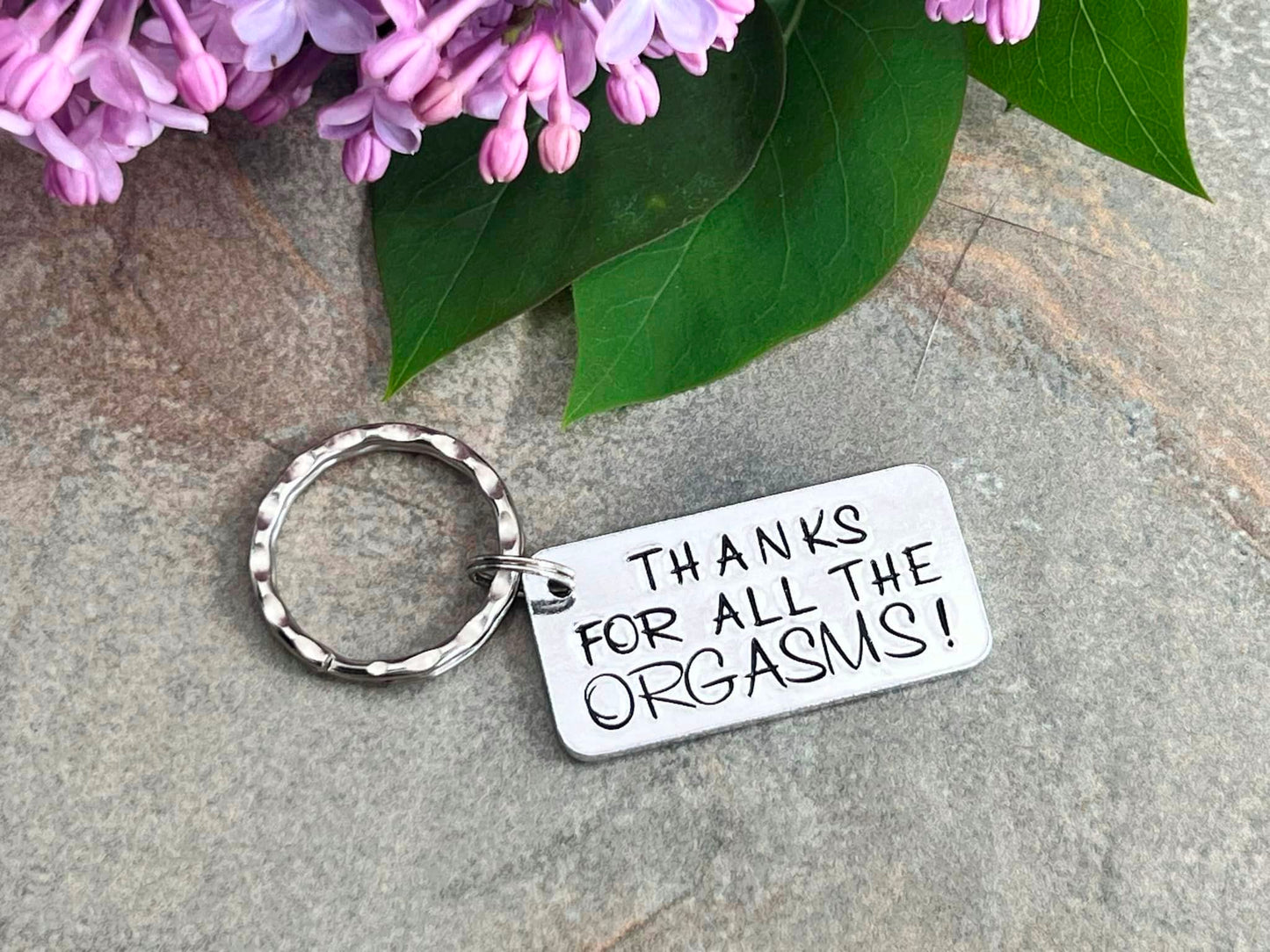 'Thanks for all the Orgasms' Keyring