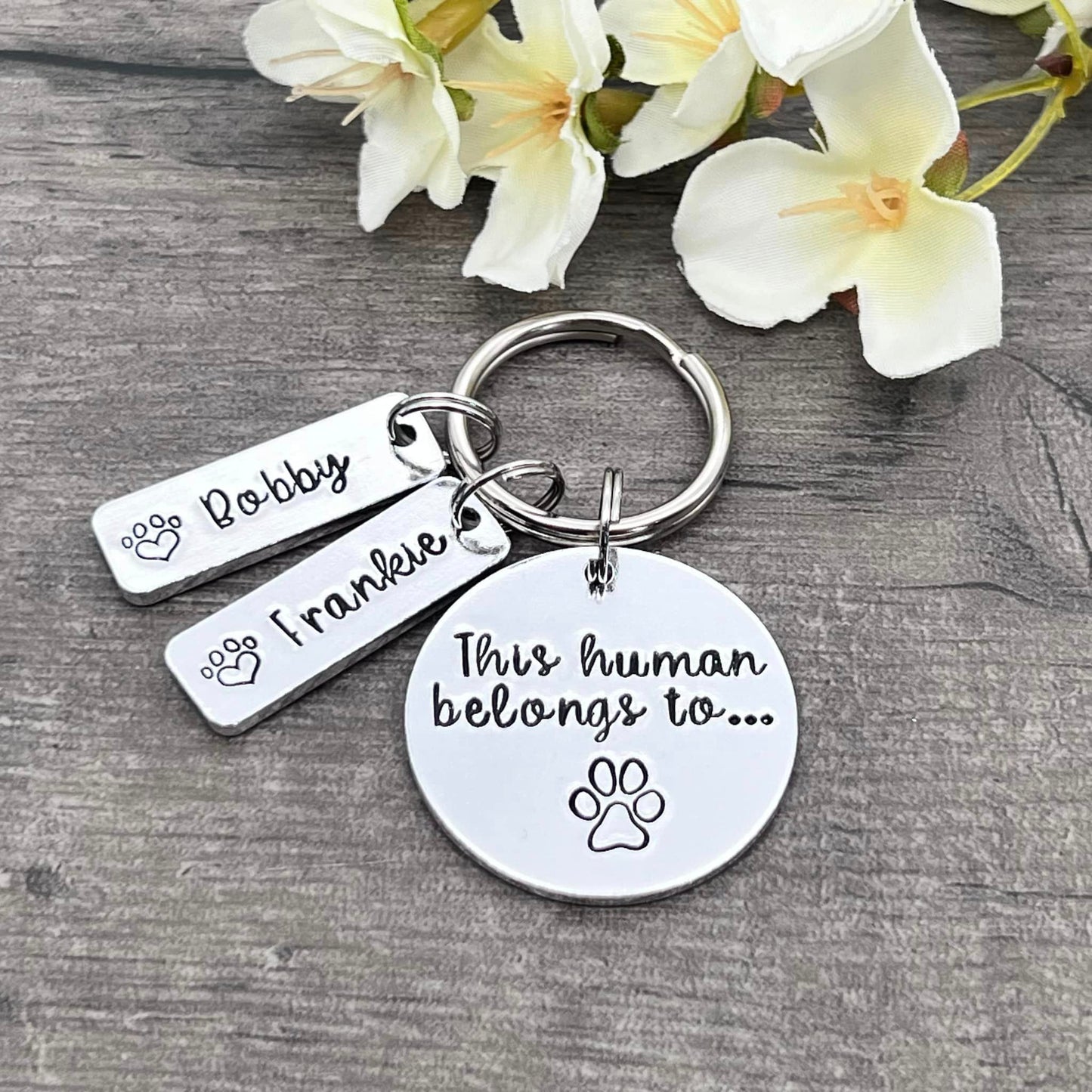 'This Human Belongs To' Keyring