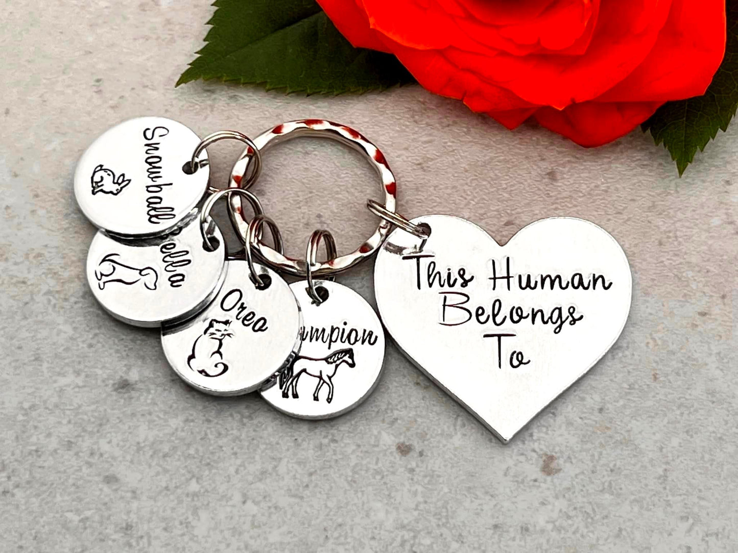 'This Human Belongs To' Keyring