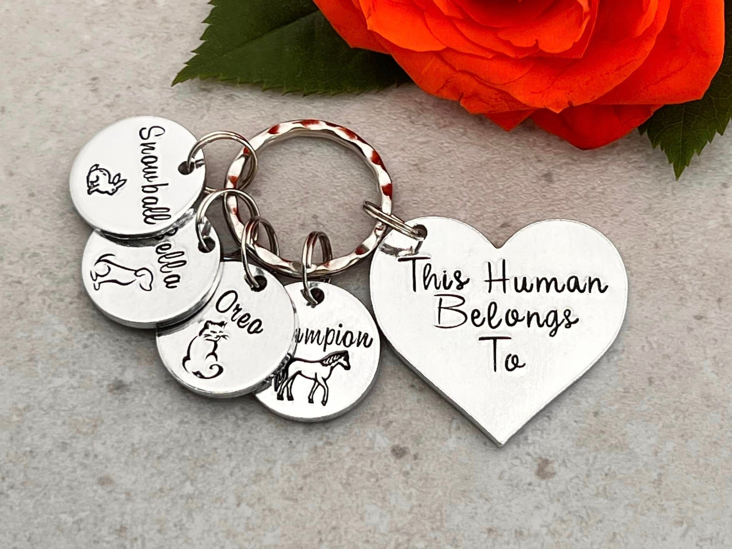 'This Human Belongs To' Keyring