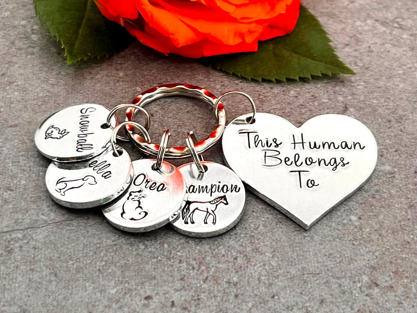 'This Human Belongs To' Keyring