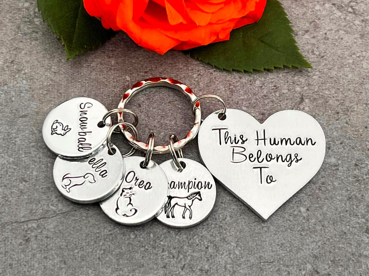 'This Human Belongs To' Keyring
