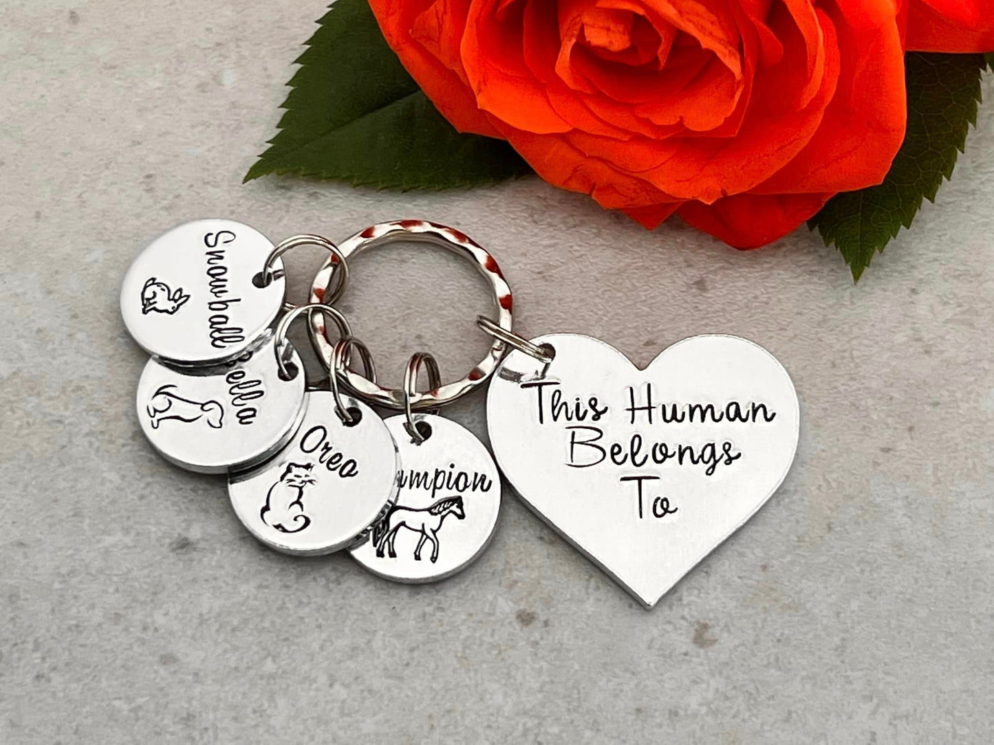 'This Human Belongs To' Keyring