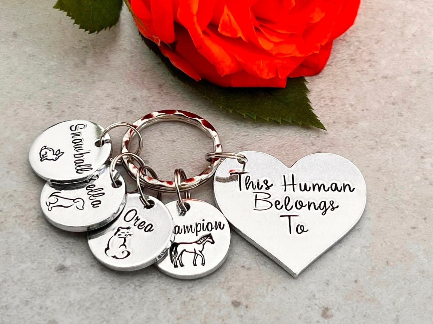 'This Human Belongs To' Keyring