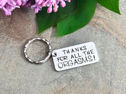 'Thanks for all the Orgasms' Keyring