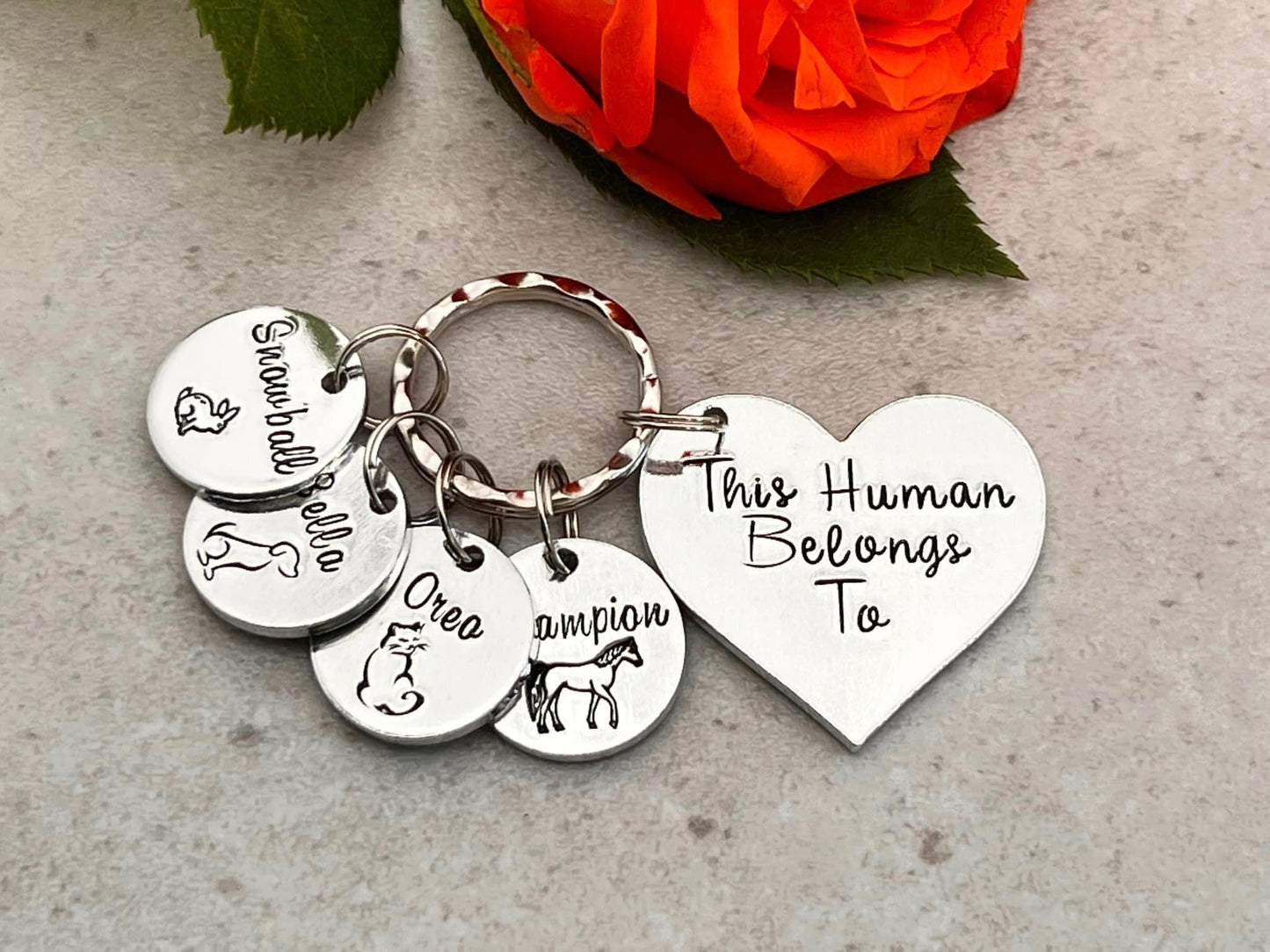 'This Human Belongs To' Keyring